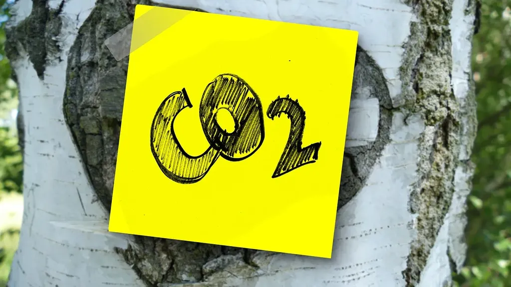 xTool P2 Review 2024: Strong CO2 Laser for Small Businesses